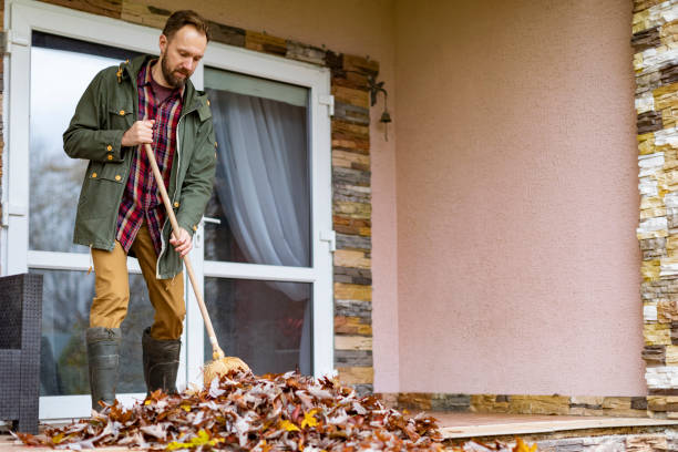 Best Same-Day Junk Removal  in Roland, AR